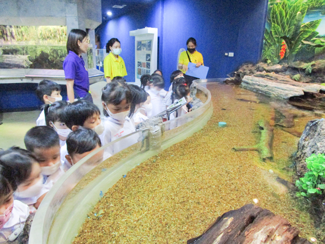   ทัศนศึกษาสถานแสดงพันธุ์สัตว์น้ำกรุงเทพ  