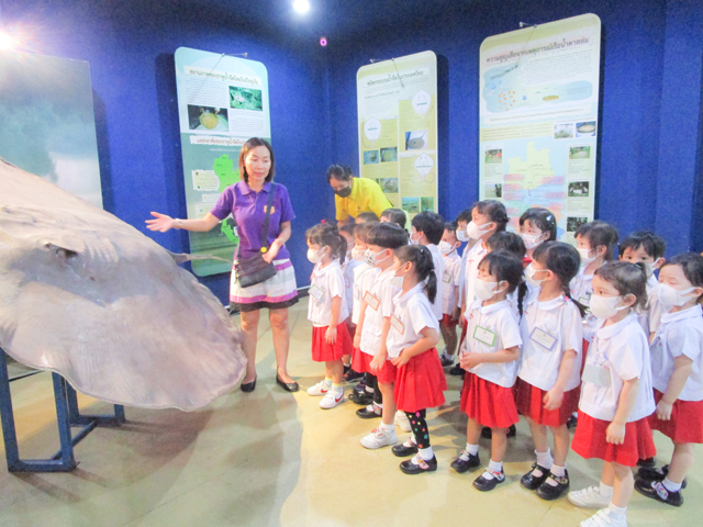  School Field Trip to Bangkok Aquarium 