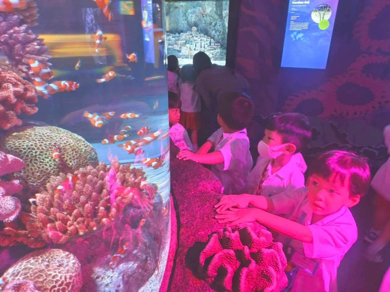 ทัศนศึกษาพิพิธภัฑณ์สัตว์น้ำ SEA LIFE
