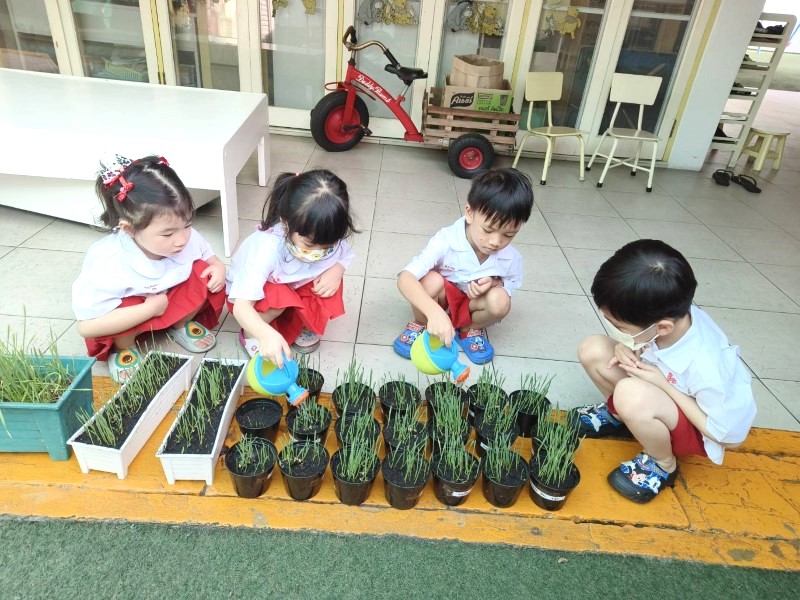 Project Approach เรื่อง ขนมปัง