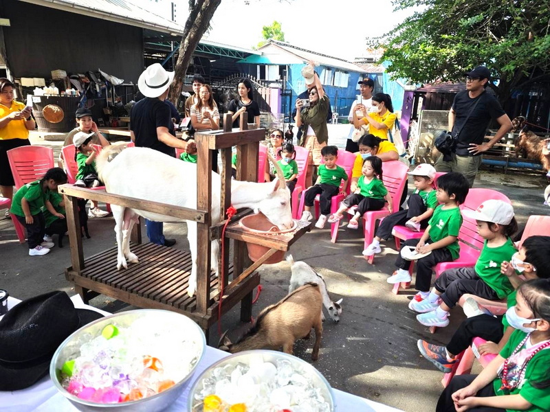 Project Approach เรื่อง นม