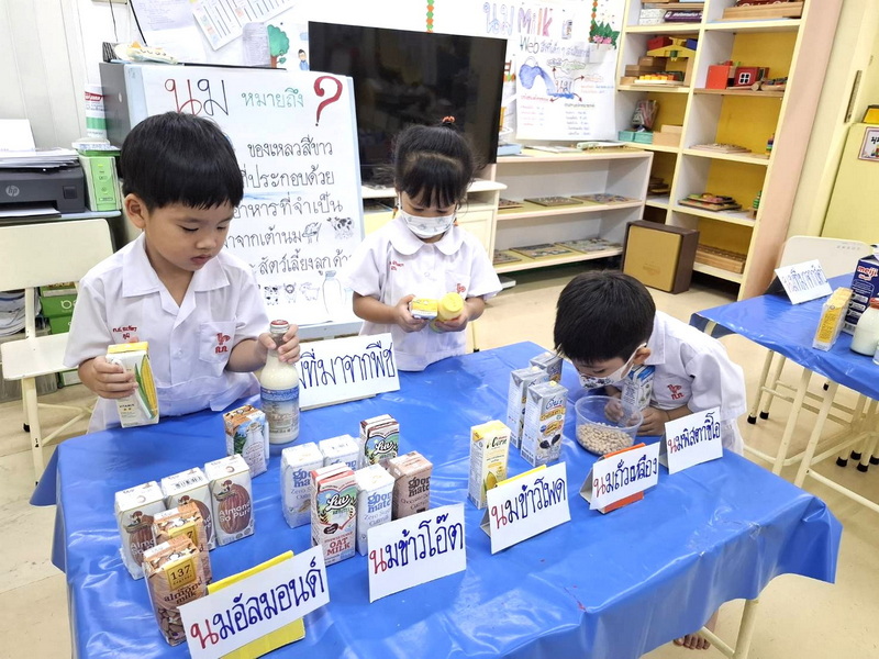 Project Approach เรื่อง นม