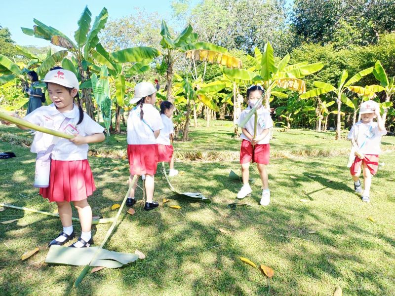 Project Approach เรื่อง ต้นกล้วย