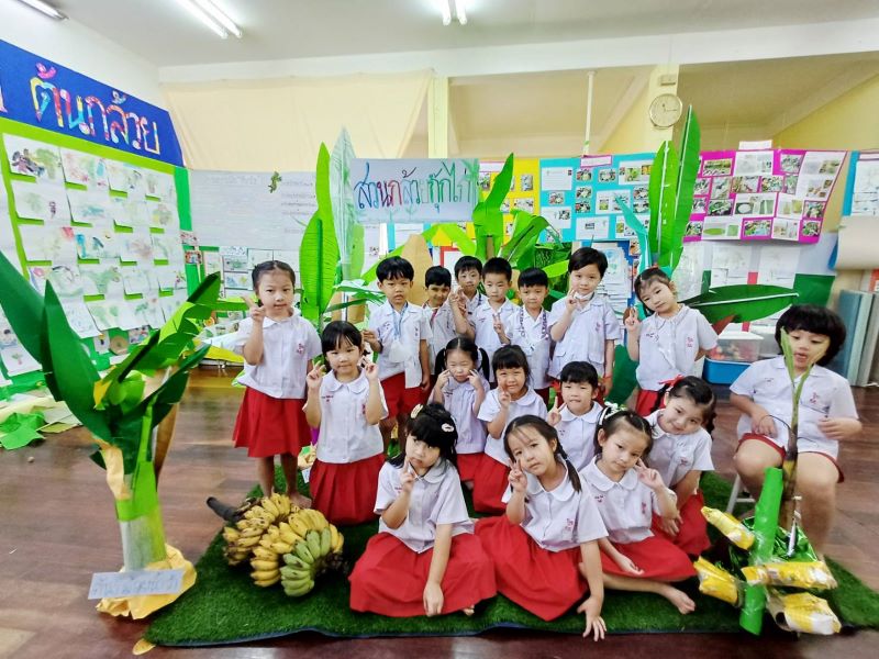 Project Approach เรื่อง ต้นกล้วย