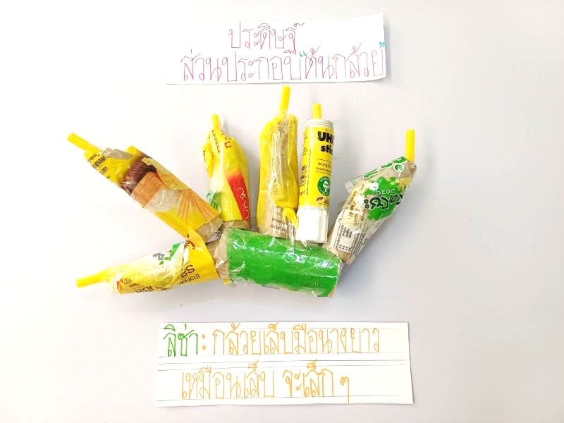 Project Approach เรื่อง ต้นกล้วย