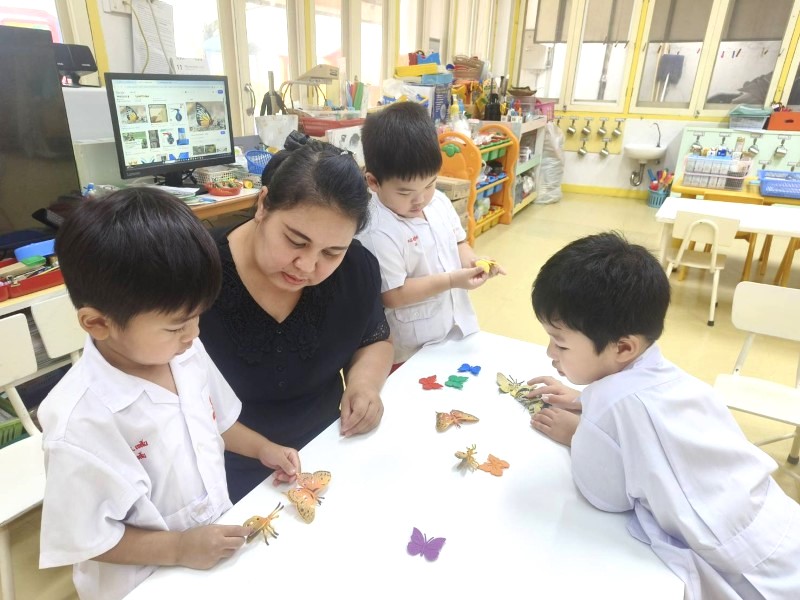 Project Approach เรื่อง ผีเสื้อ