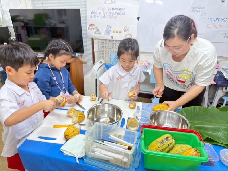 Project Approach เรื่อง ช็อกโกแลต