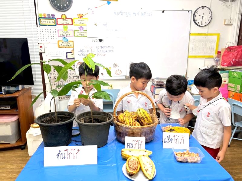 Project Approach เรื่อง ช็อกโกแลต