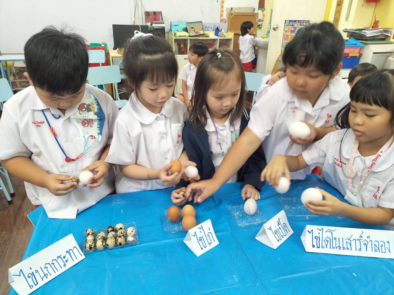 Project Approach เรื่อง ไดโนเสาร์