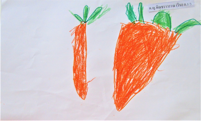  Carrots, Stage 2 Week 1