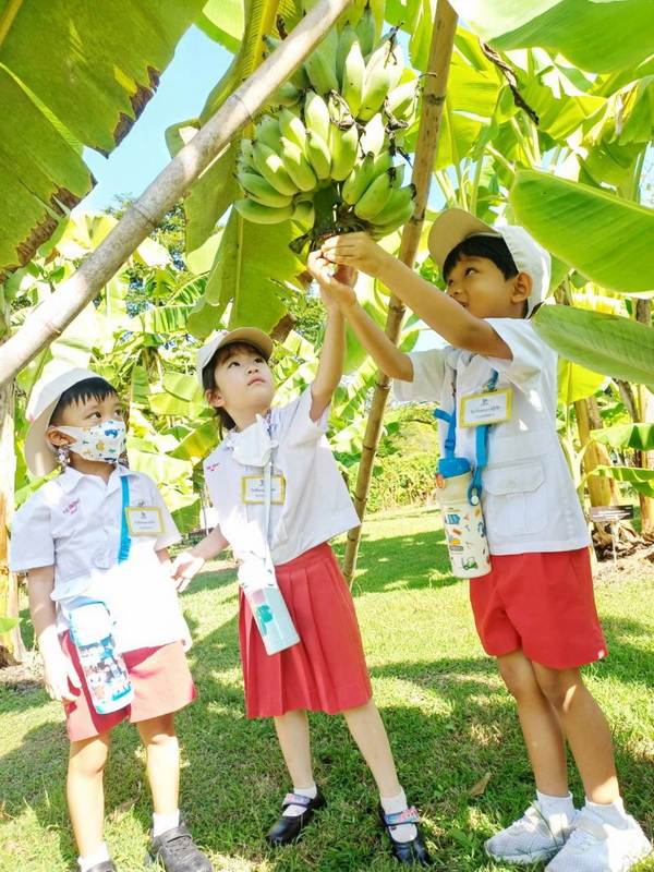 การเรียนรู้ Project Approach