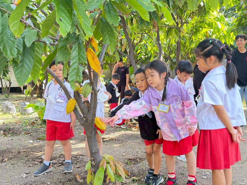 การเรียนรู้ Project Approach